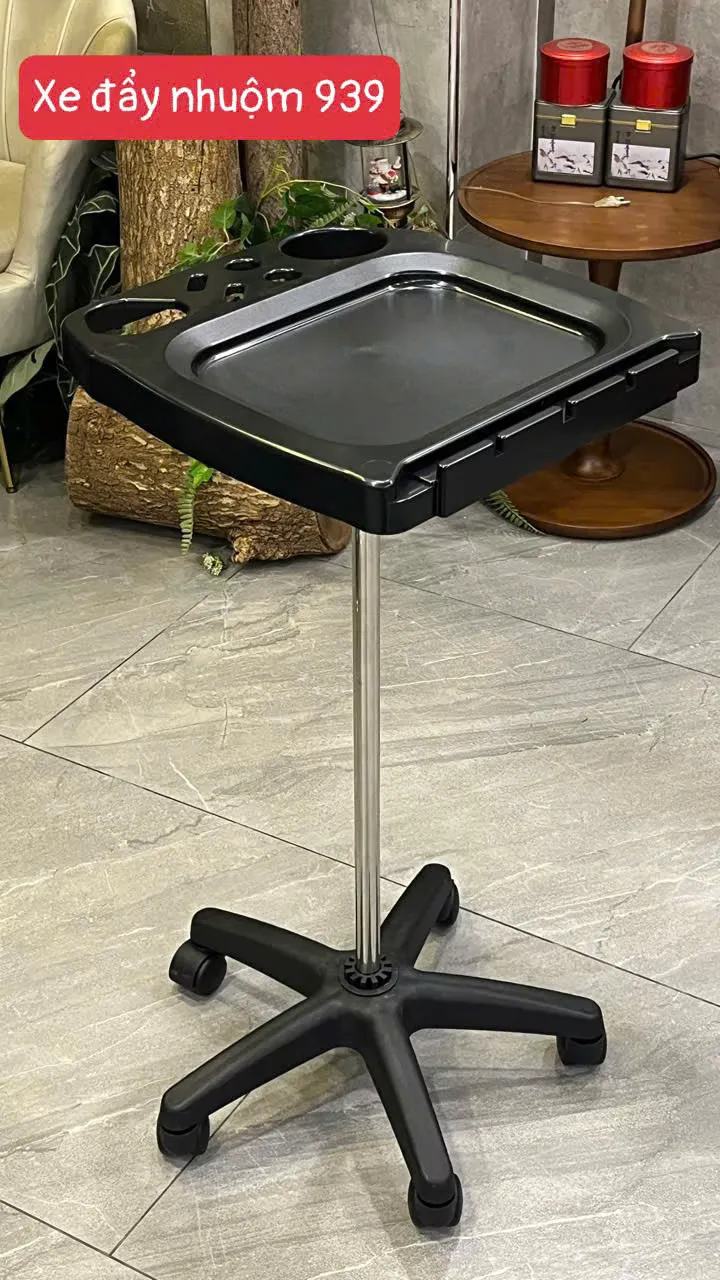Xe Đẩy Nhuộm 939 — ảnh 2