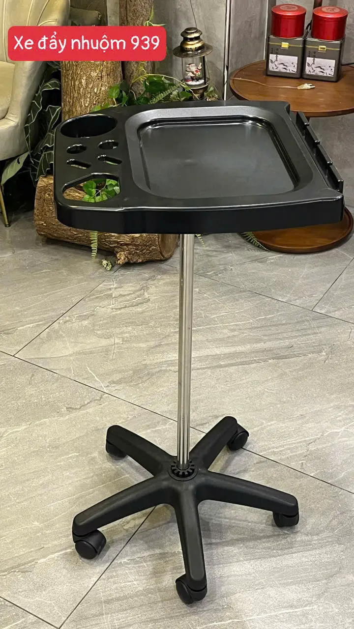 Xe Đẩy Nhuộm 939 — ảnh 3